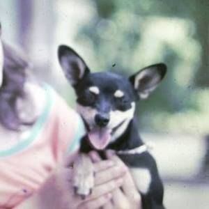 Meet your Posher, Christine